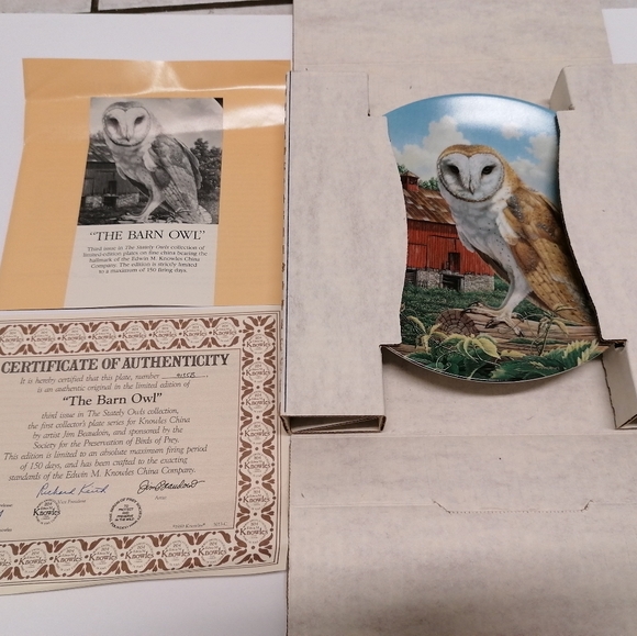 The Barn Owl Collection Plate. - Picture 4 of 4